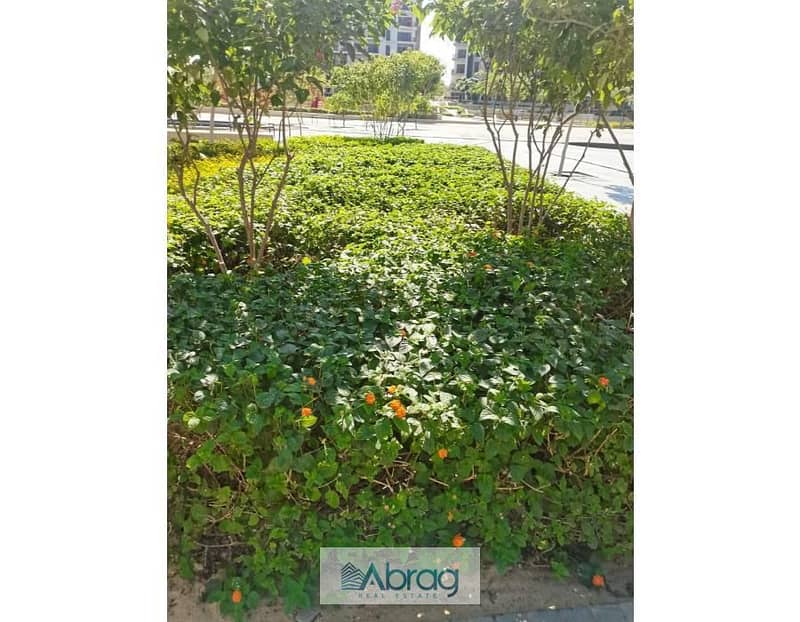 2 جديد 1 (2). jpg