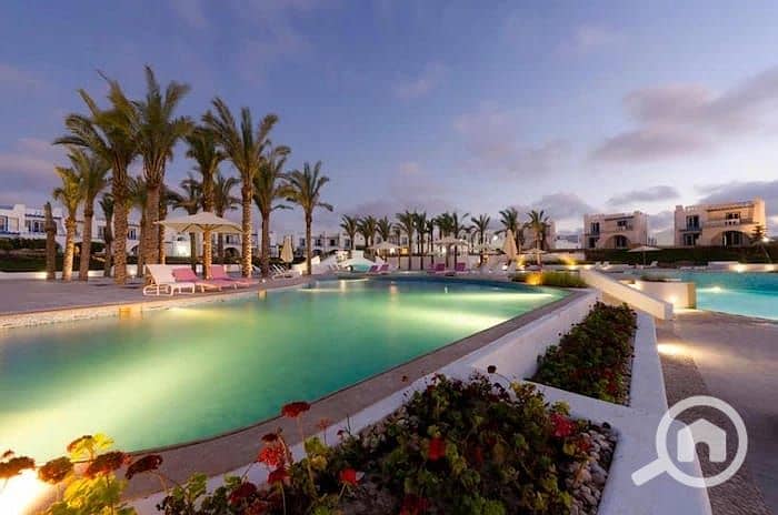 4 WhatsApp Image 2026-01-29 at 6.19. 52 PM (1). jpeg