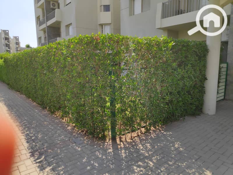 11 60baf241-aaf5-4108-8622-66b39dbe8c85. jpg