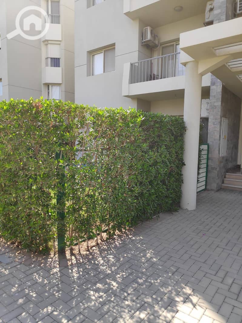 12 88aa9c31-86cc-4587-8d0b-0ab3b2e99453. jpg