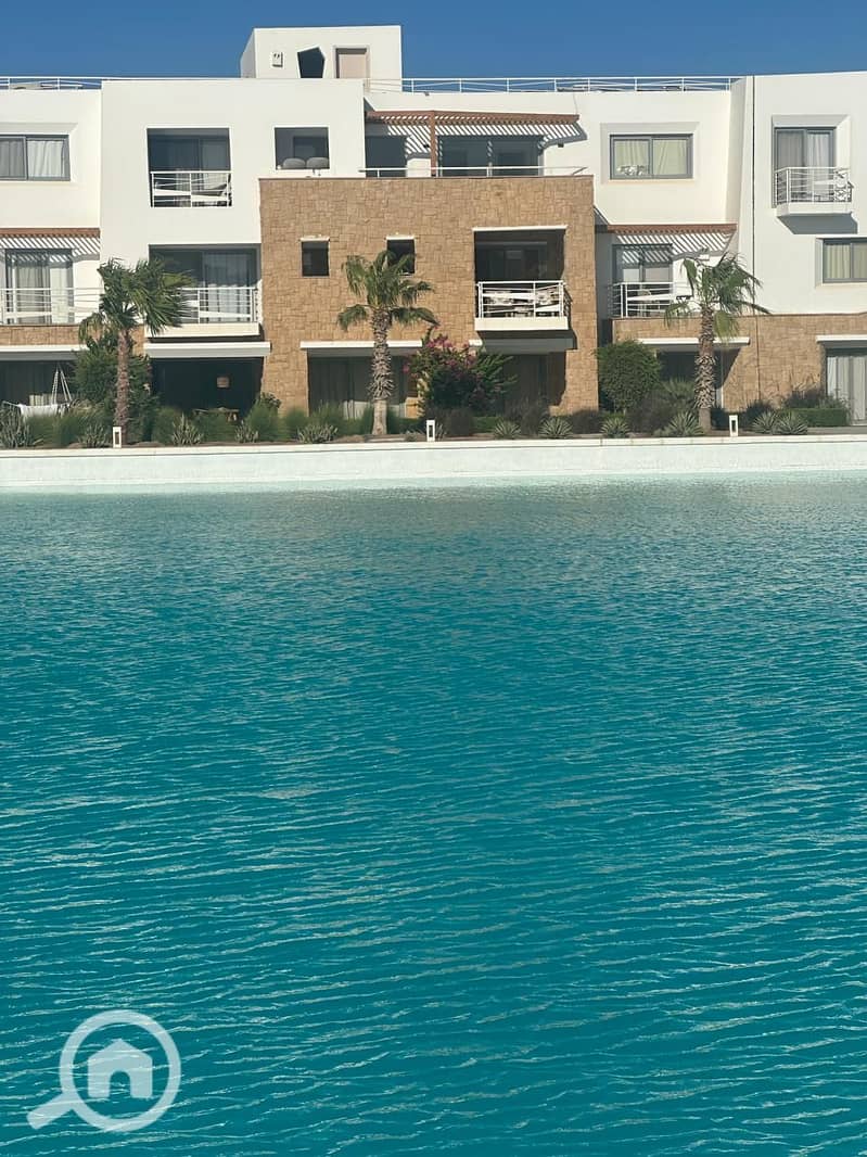 17 f2e7cad4-aae5-449f-ae8d-e1db22c6506b. jpg