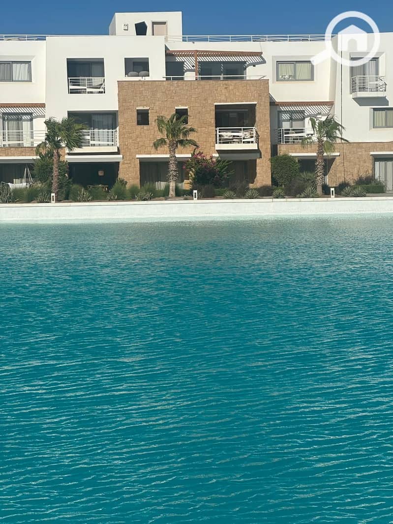 17 f2e7cad4-aae5-449f-ae8d-e1db22c6506b. jpg