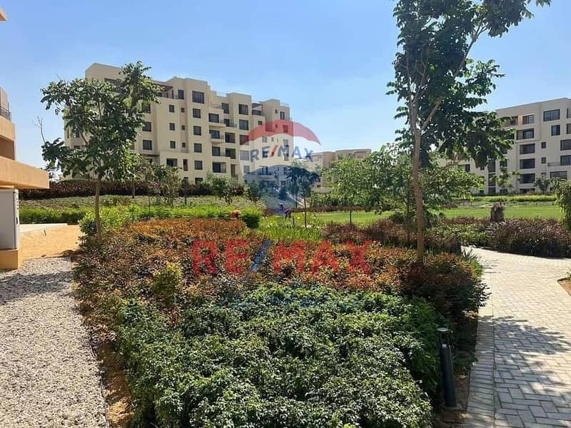 6 8d7f01dd-dd41-4f94-87cc-c5deae057110. jpg