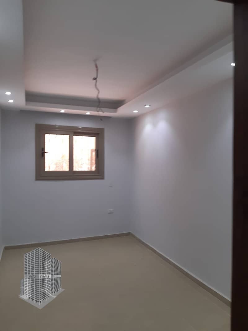 3 photo_2026-02-02_17-56-29. jpg