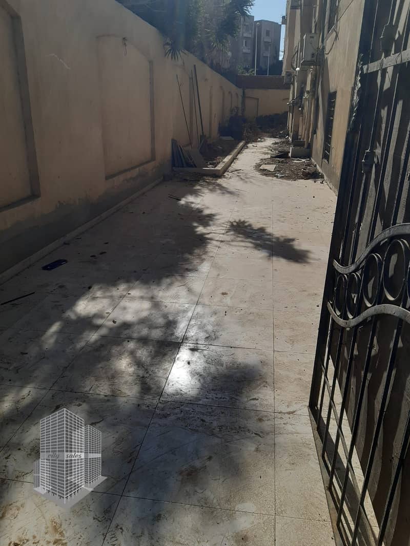 7 photo_2026-02-02_17-56-35. jpg