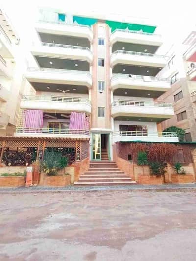 فلیٹ 2 غرفة نوم للبيع في النخيل، الإسكندرية - 1000524416. jpg