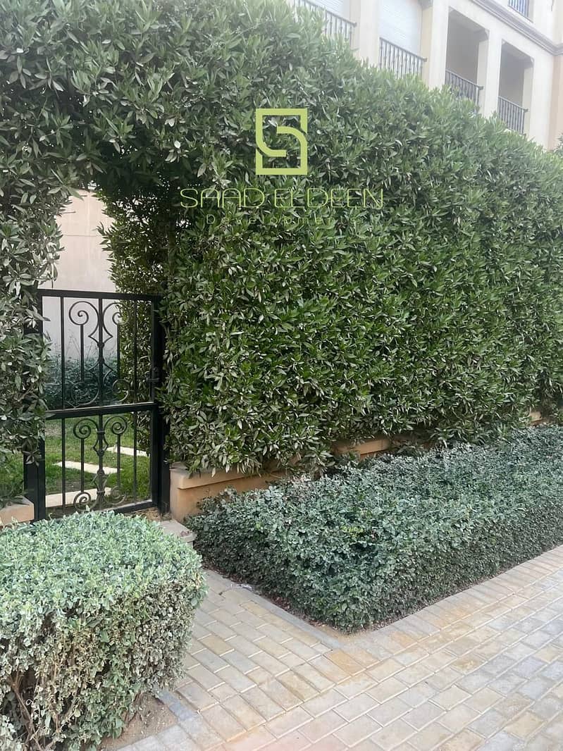 3 8fcdd8eb-f590-4b8d-83c7-d22df65b3828. jpg