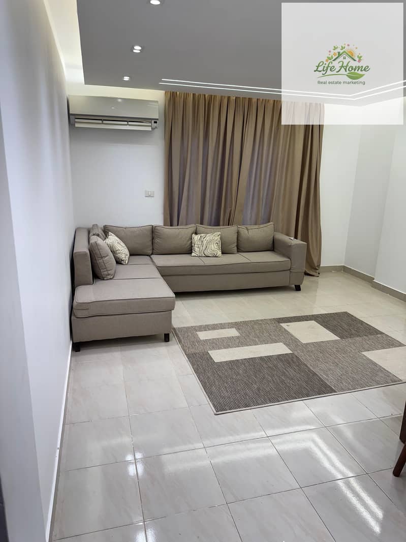 3 WhatsApp Image 2026-02-02 at 4.15. 39 PM (1). jpeg