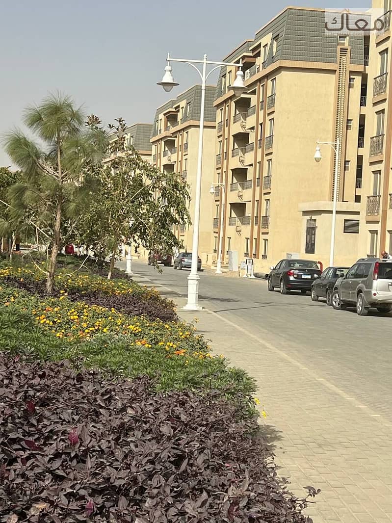 5 5bdc17f4-8a1b-451f-aa3d-b14125951e6b. jpg