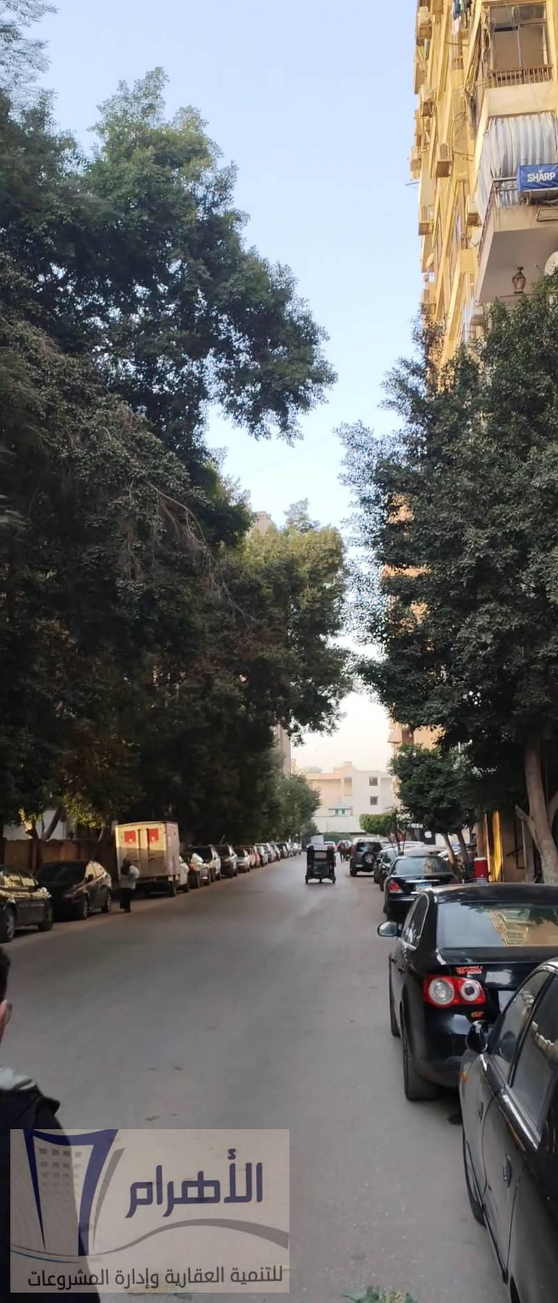 2 616034039_1202464565365076_3203567216403502915_n. jpg