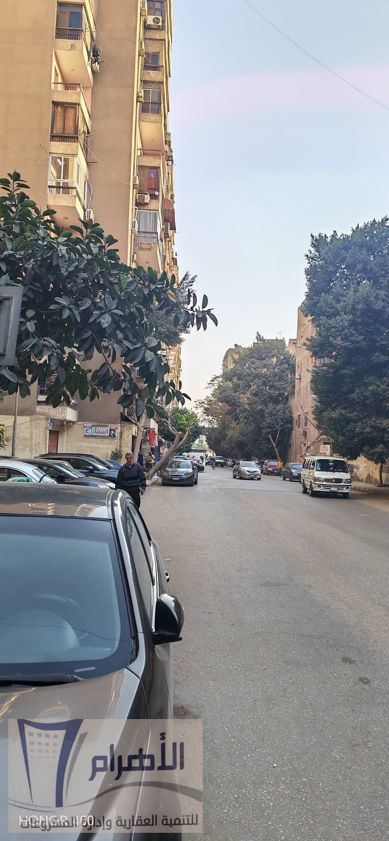 7 624271146_1202465782031621_1660838203390325034_n. jpg