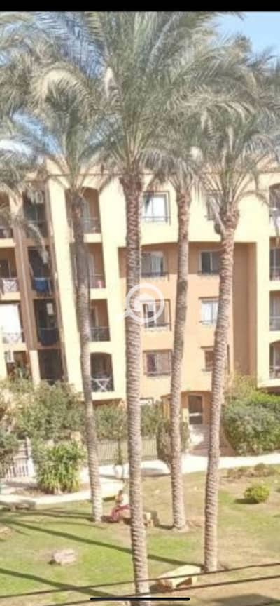 2 Bedroom Apartment for Rent in New Cairo, Cairo - IMG_0981. png