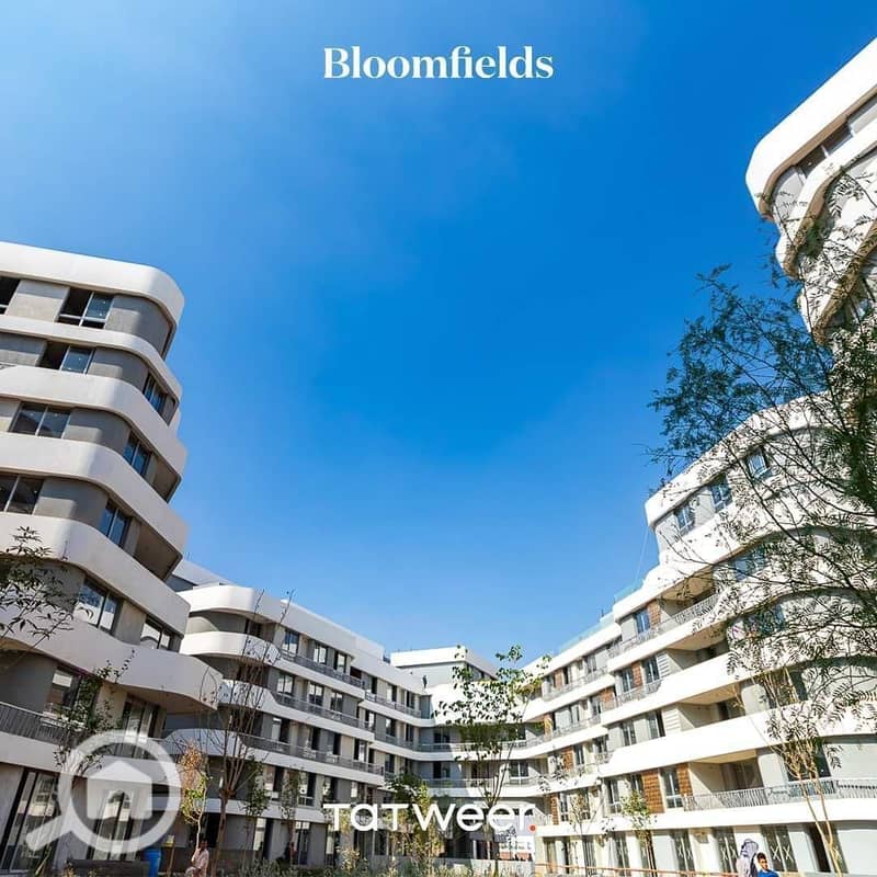 3 WhatsApp Image 2025-10-27 at 8.07. 37 PM. jpeg