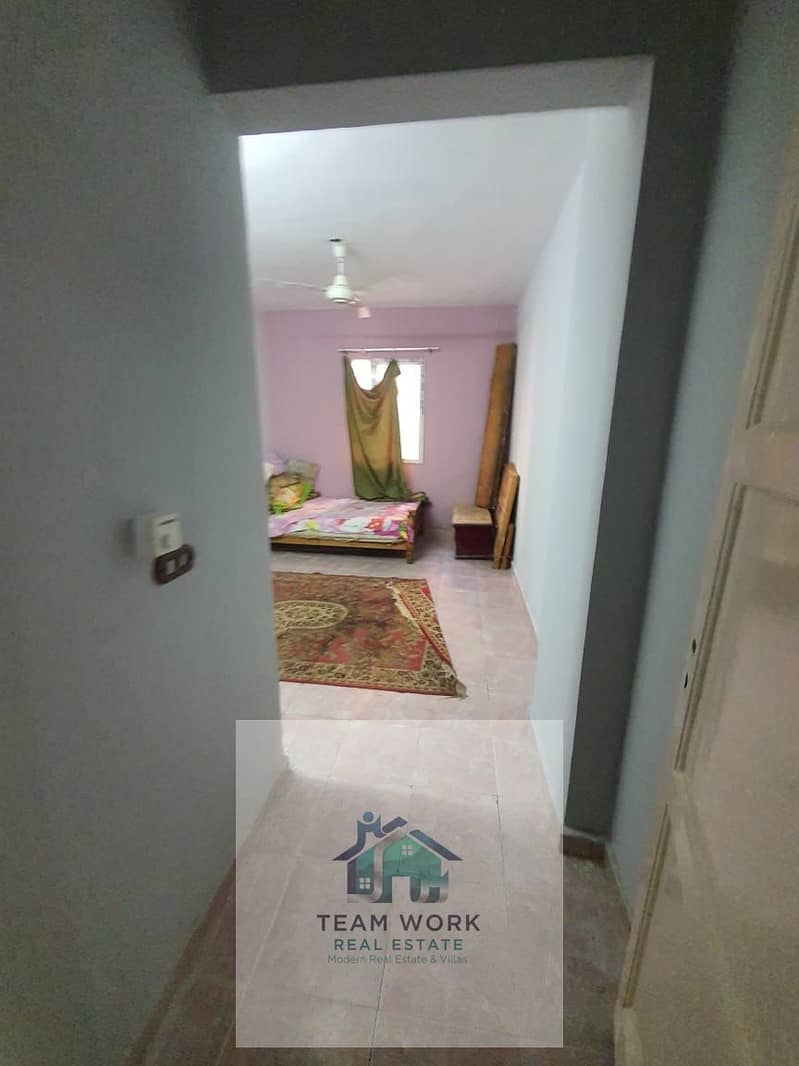 4 WhatsApp Image 2026-02-02 at 4.40. 37 PM. jpeg