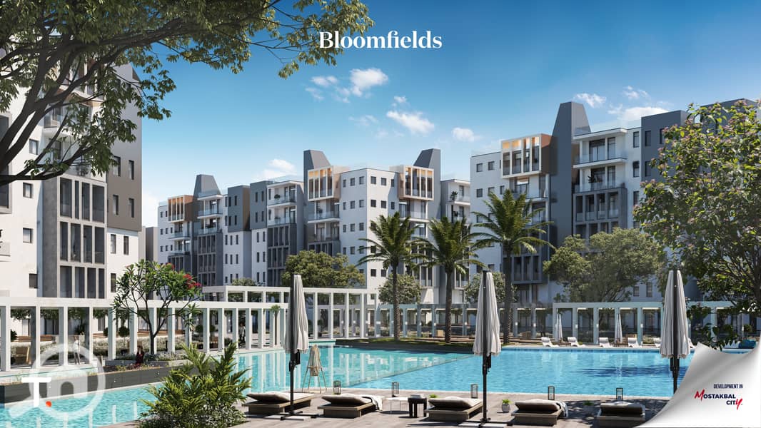 15 Cam 08-07  (1). png