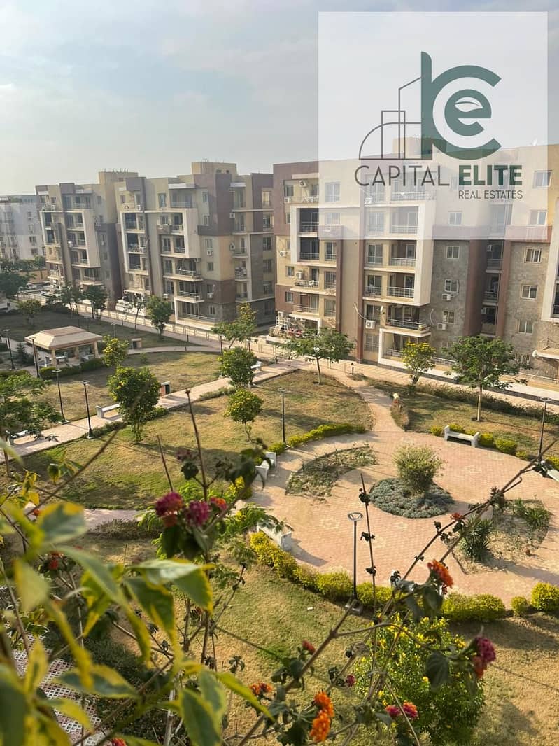 9 53f85ef8-25e6-4fd8-9368-28f30a6ce467. jpg