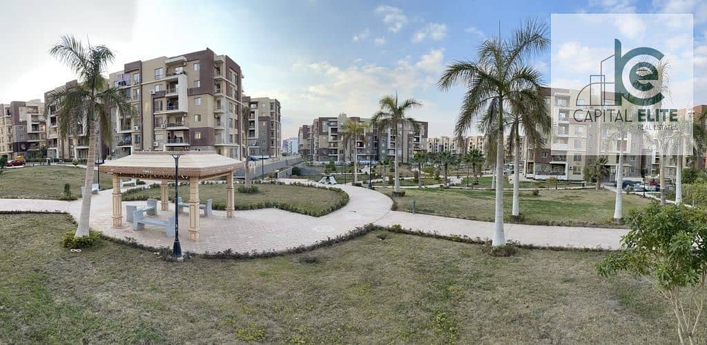 16 ff007dba-51ce-4d8a-87c4-884d89dfa3aa. jpg