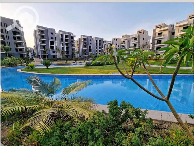 3 425282164_122129147900120660_1379440051786515689_n. jpg