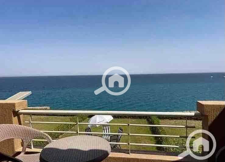 5 0f865541-90d2-4fc0-8ebb-c6bb5ae077ff. jpg