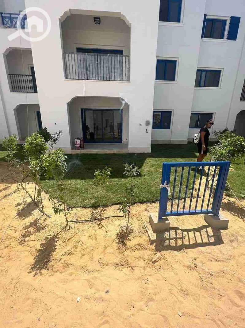 4 IMG-20260201-WA0037. jpg