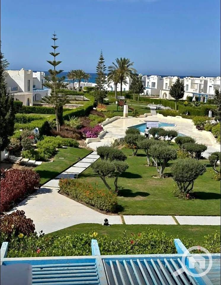 4 495917352_1062392375801771_7770858838511411259_n. jpg