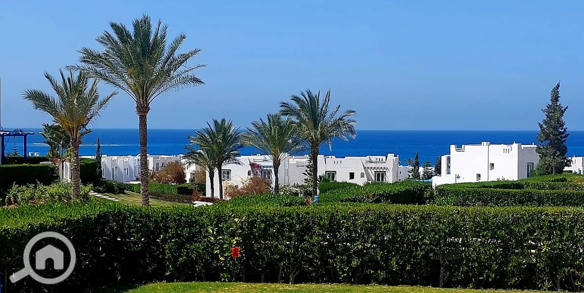 8 488896098_2784933831713847_1254085913682224582_n. jpg