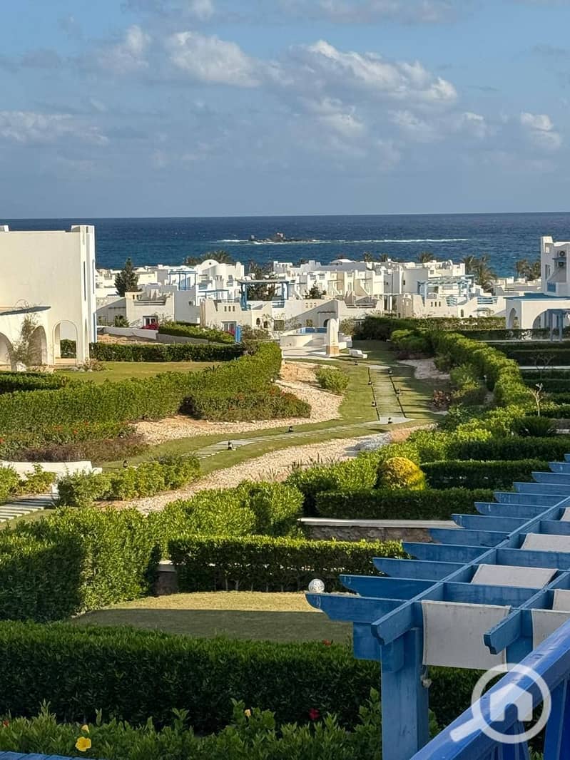 9 498153375_9843895065718238_2759458186853621590_n. jpg