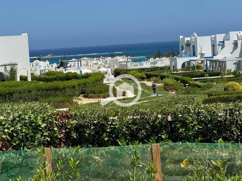 10 499728894_9843898822384529_3260668409343937251_n. jpg