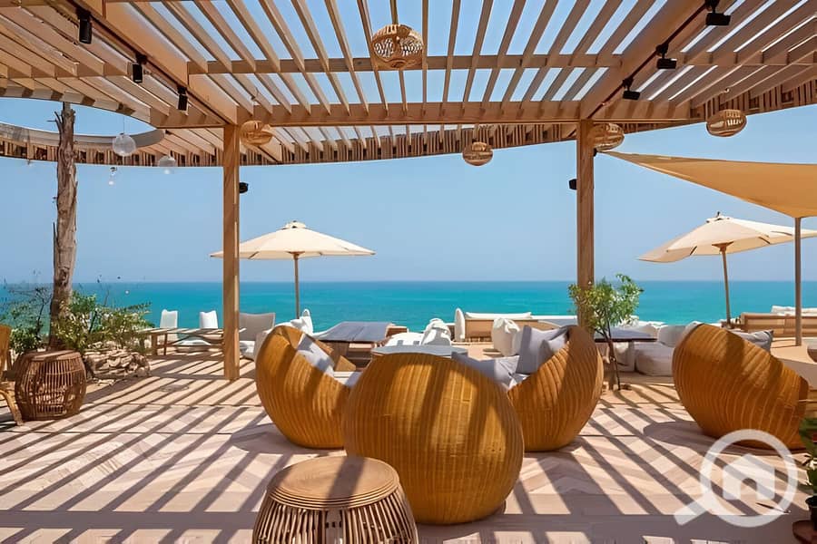 3 499036832_122232552428208532_6689761377805655641_n. jpg