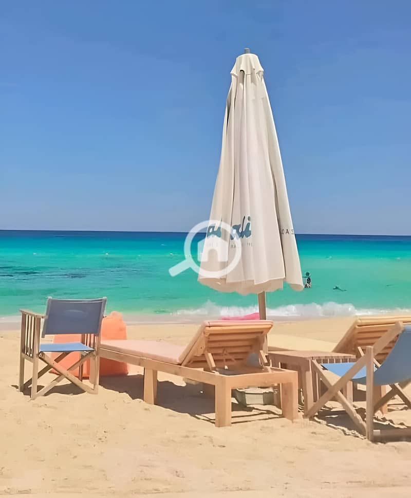 4 499254656_122232552644208532_3801520944439726775_n. jpg