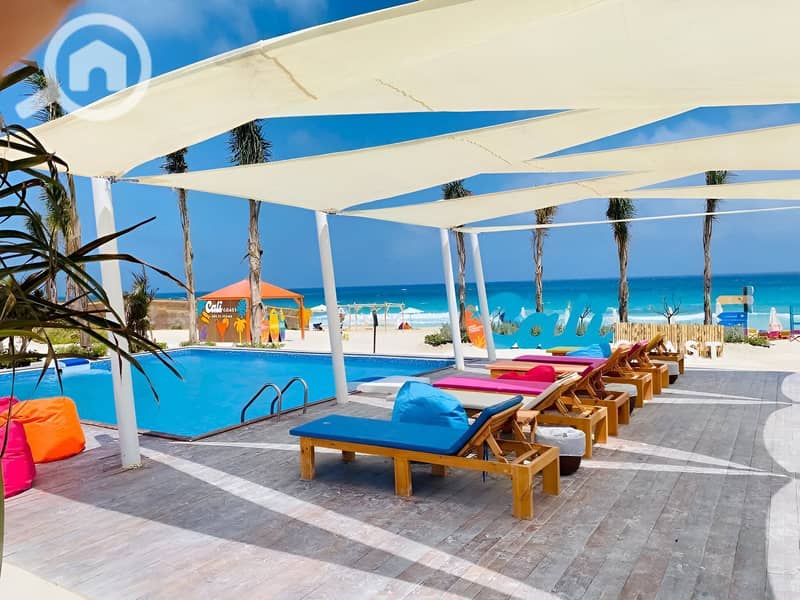 6 493005523_122136734684673579_3531078337753951757_n. jpg