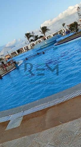 5 Screenshot 2025-04-05 054233. png