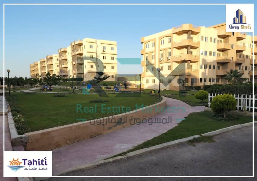 9 WhatsApp Image 2025-04-17 at 05.57. 24_69314ff2. jpg