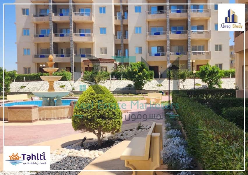 10 WhatsApp Image 2025-04-17 at 05.57. 27_e02f0af6. jpg