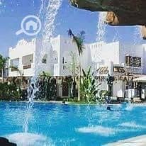 فلیٹ 1 غرفة نوم للايجار في شرم الشيخ، سيناء - 484050216_2981475088690611_3437947336784392802_n. jpg
