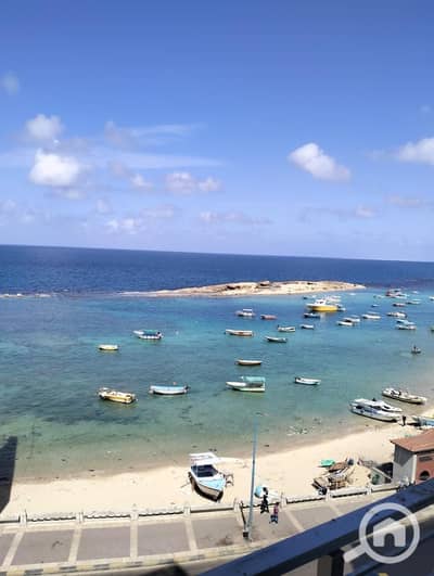 فلیٹ 3 غرف نوم للايجار في ميامي، الإسكندرية - WhatsApp Image 2026-02-02 at 15.24. 12. jpeg