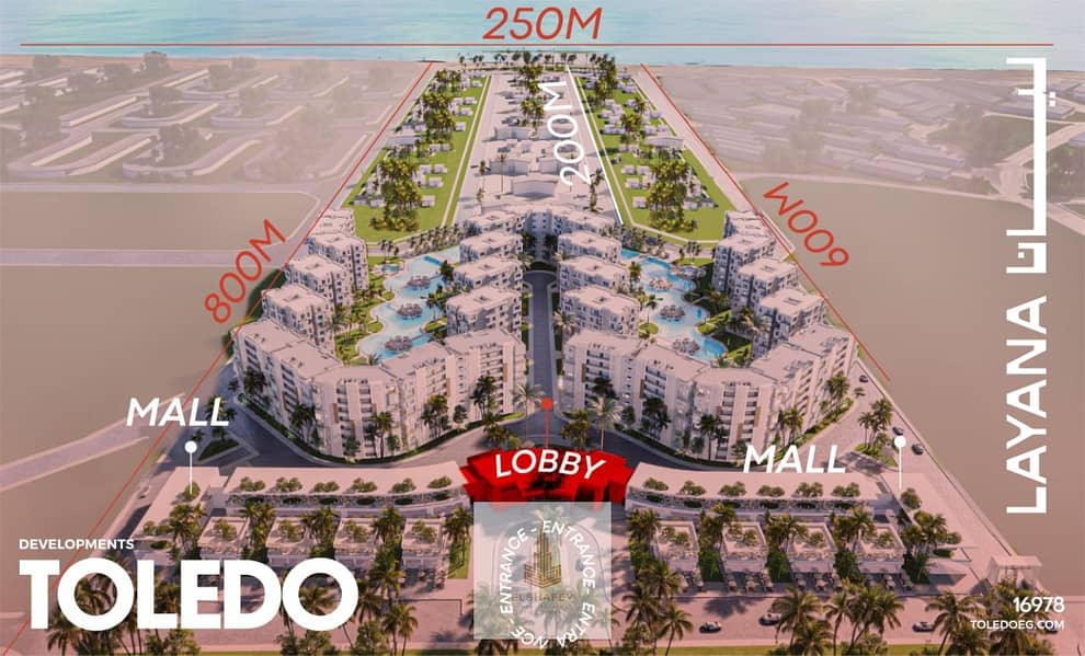 11 صورة واتساب بتاريخ 2025-06-24 في 16.15. 52_794bde92. jpg