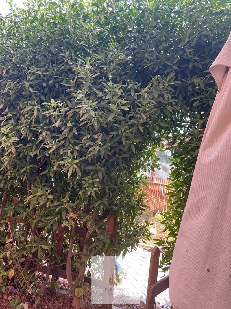 31 WhatsApp Image 2025-12-27 at 1.20. 15 PM (4). jpeg