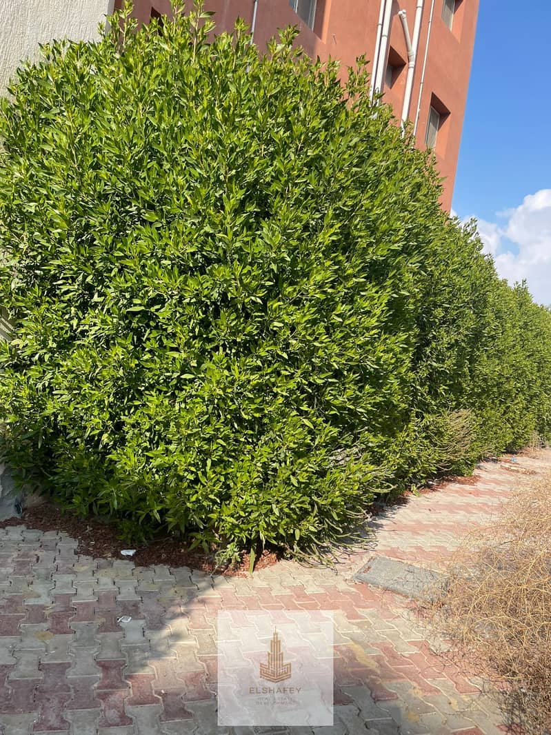 35 WhatsApp Image 2025-12-27 at 1.20. 16 PM (3). jpeg