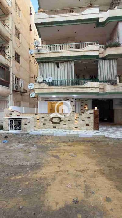 فلیٹ 2 غرفة نوم للبيع في النخيل، الإسكندرية - 1000480686. jpg فلیٹ 2 غرفة نوم للبيع في النخيل، الإسكندرية - 1000480686. jpg