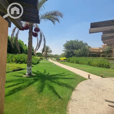 5 Bedroom Villa for Sale in Katameya, Cairo - WhatsApp Image 2025-08-20 at 14.40. 39_638405d6. jpg