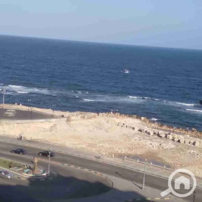 2 Bedroom Apartment for Rent in Miami, Alexandria - 1000370981. jpg