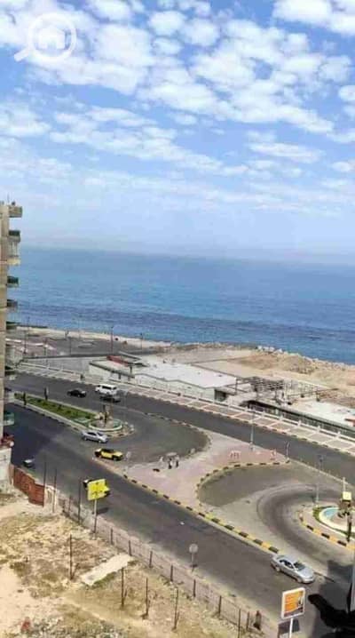 2 Bedroom Apartment for Rent in Miami, Alexandria - 1000370967. jpg