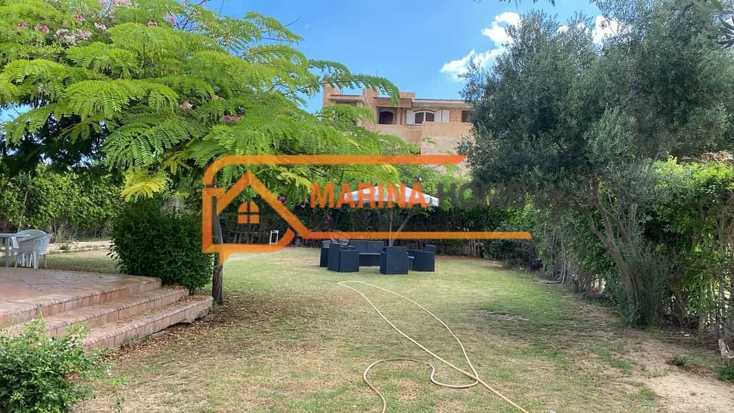 4 WhatsApp Image 2026-01-31 at 4.24. 38 PM (3). jpeg