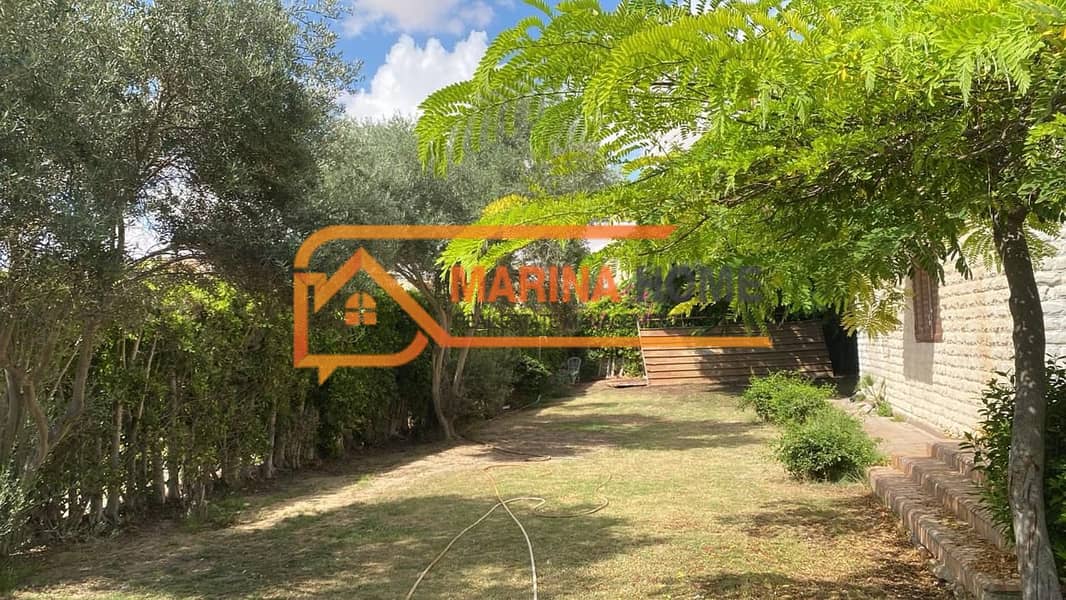 7 WhatsApp Image 2026-01-31 at 4.24. 39 PM (1). jpeg