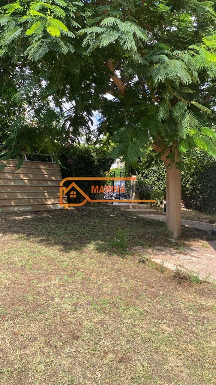 13 WhatsApp Image 2026-01-31 at 4.24. 40 PM. jpeg