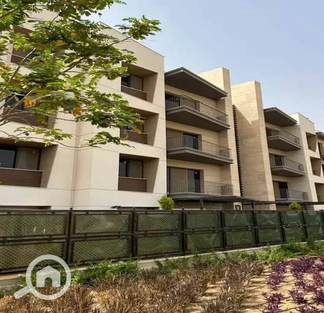 12 598752614_4198160400454752_619698430578234043_n. jpg