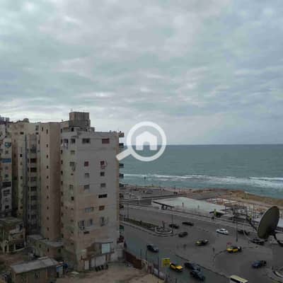 2 Bedroom Apartment for Rent in Miami, Alexandria - 1000371144. jpg
