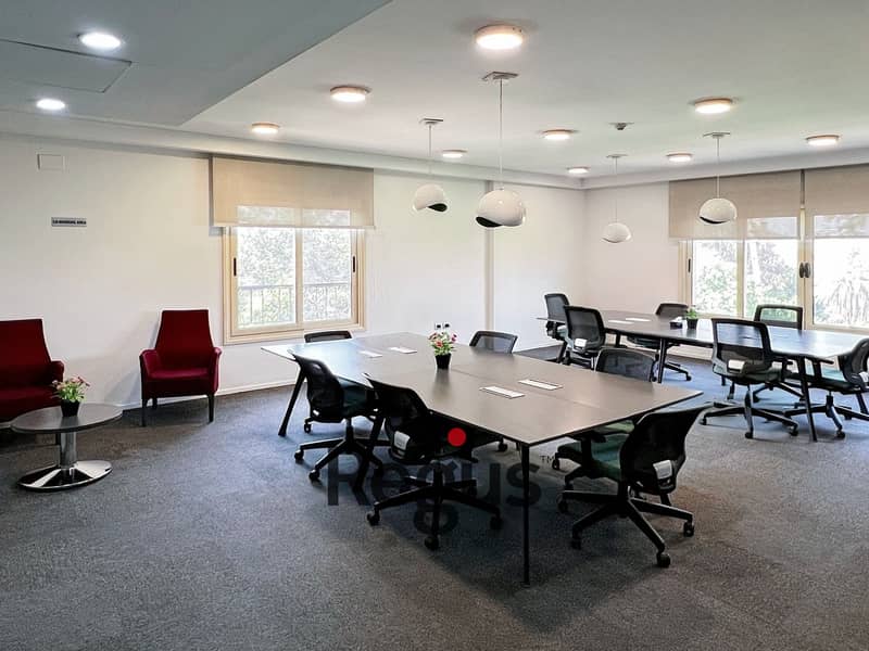 8 Regus_Cairo Maadi Club_Egypt_Centre 8005_Coworking. jpg