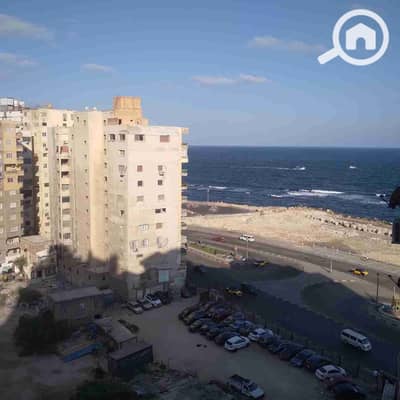 2 Bedroom Flat for Rent in Miami, Alexandria - 1000097630. jpg